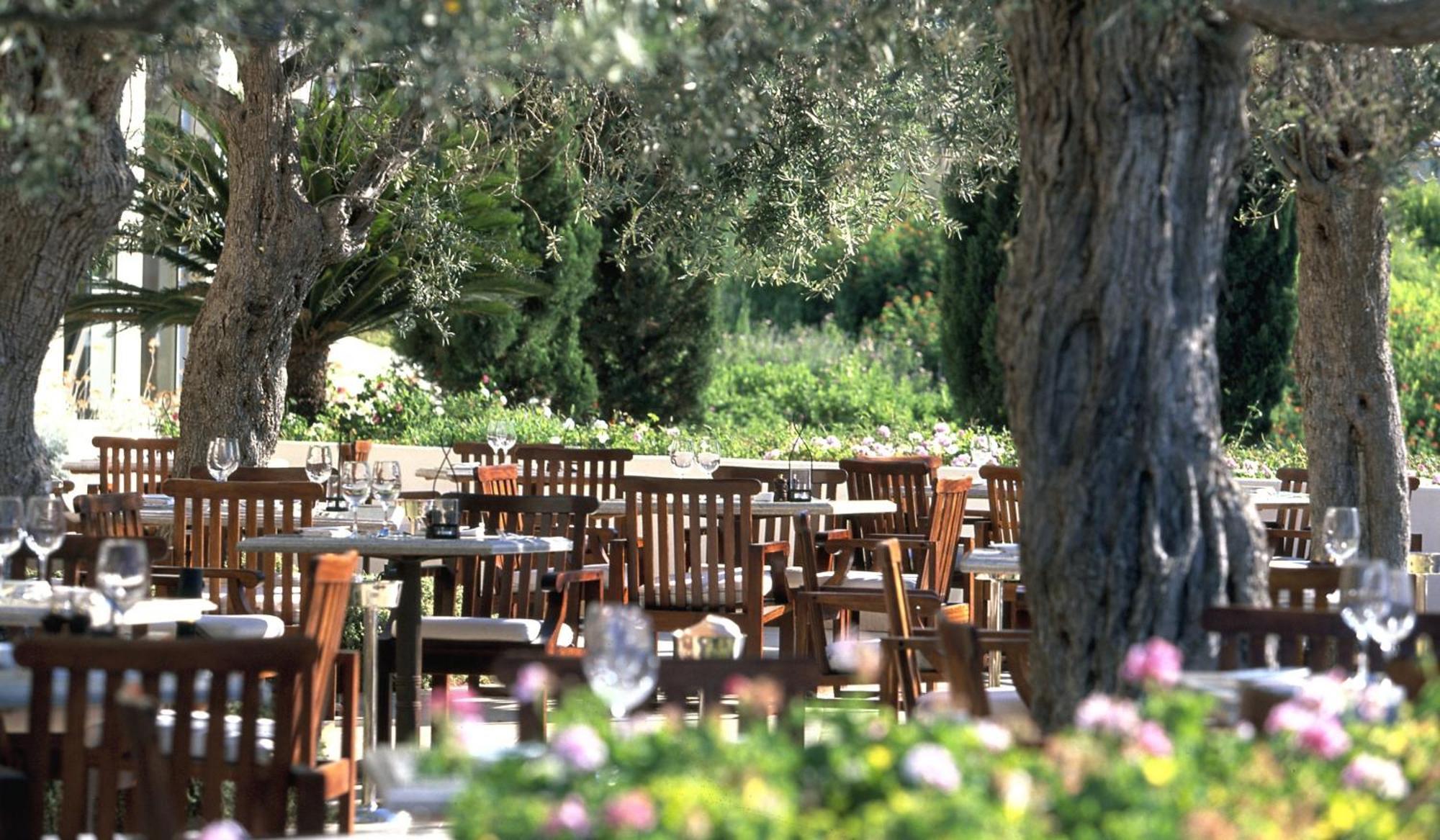 Anassa Hotel Polis Kültér fotó