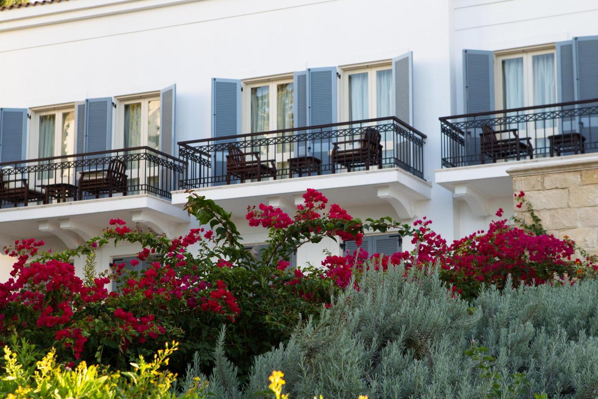 Anassa Hotel Polis Szoba fotó
